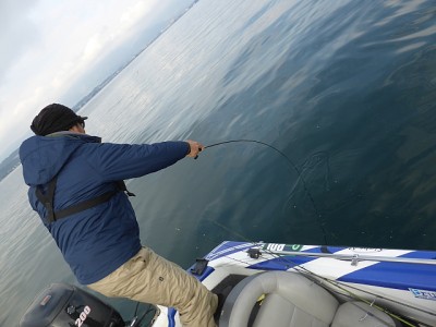 truth news ブログ写真 2014/11/17