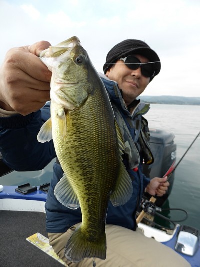 truth news ブログ写真 2014/11/17