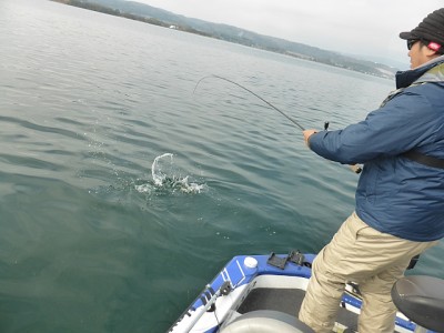 truth news ブログ写真 2014/11/17