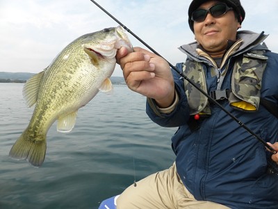 truth news ブログ写真 2014/11/17