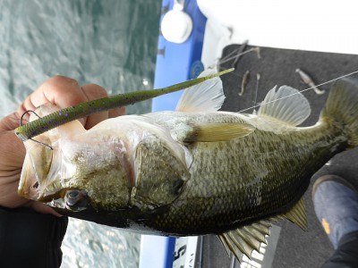 truth news ブログ写真 2014/11/17