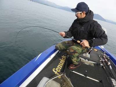 truth news ブログ写真 2014/11/20