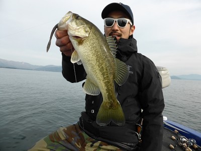 truth news ブログ写真 2014/11/20