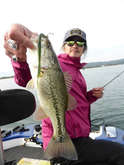 truth news ブログ写真 2014/11/20