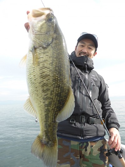 truth news ブログ写真 2014/11/20