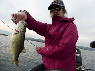 truth news ブログ写真 2014/11/20