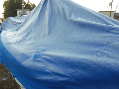 truth news ブログ写真 2014/11/22