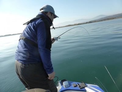 truth news ブログ写真 2014/11/22