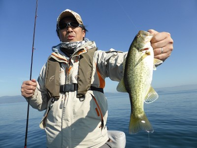 truth news ブログ写真 2014/11/22