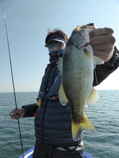 truth news ブログ写真 2014/11/22