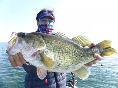 truth news ブログ写真 2014/11/22