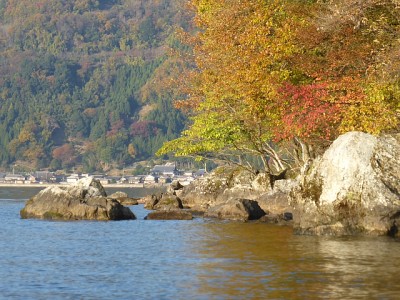 truth news ブログ写真 2014/11/22