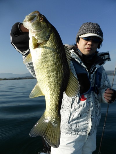 truth news ブログ写真 2014/11/22