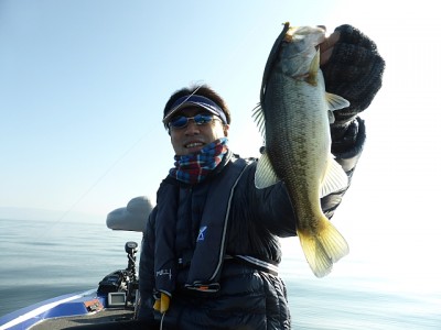 truth news ブログ写真 2014/11/22