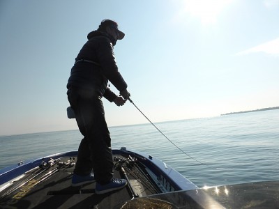 truth news ブログ写真 2014/11/22