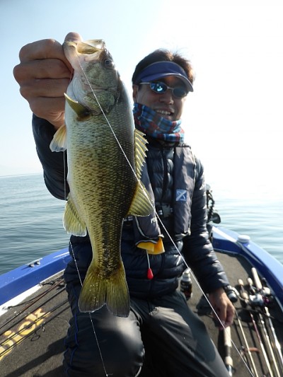 truth news ブログ写真 2014/11/22