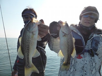 truth news ブログ写真 2014/11/22