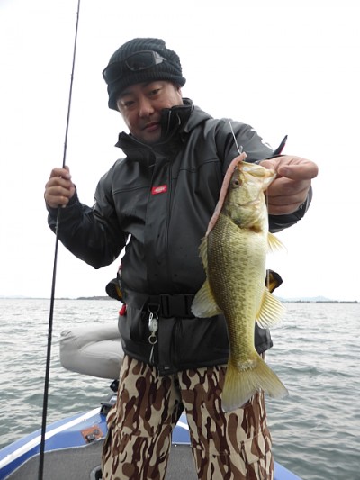 truth news ブログ写真 2014/12/01