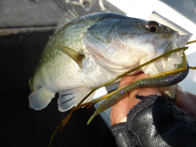 truth news ブログ写真 2014/12/01