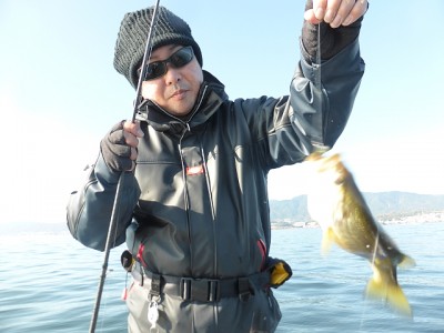 truth news ブログ写真 2014/12/01