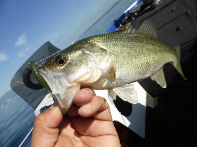 truth news ブログ写真 2014/12/01