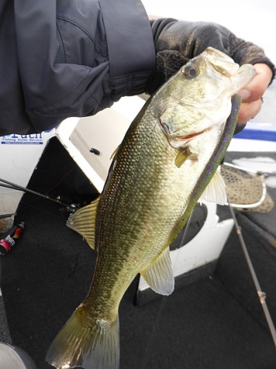 truth news ブログ写真 2014/12/01