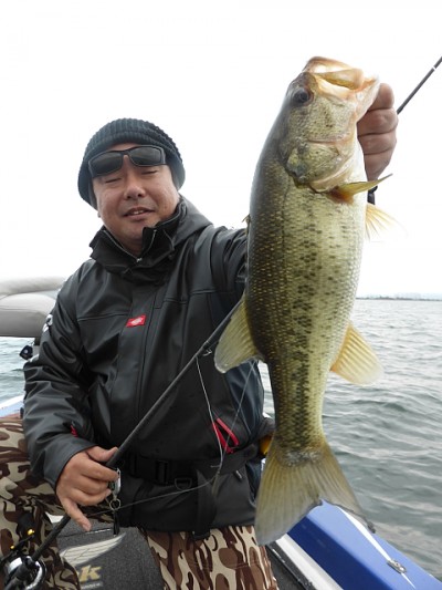 truth news ブログ写真 2014/12/01