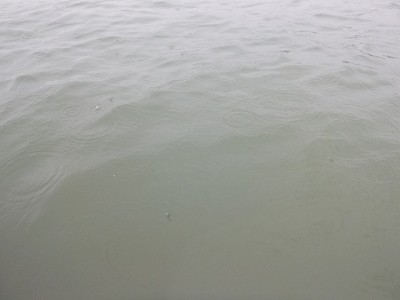 truth news ブログ写真 2014/12/04