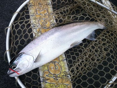 truth news ブログ写真 2014/12/08