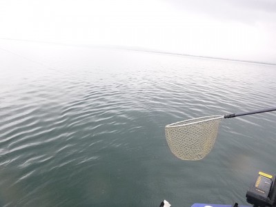 truth news ブログ写真 2014/12/09