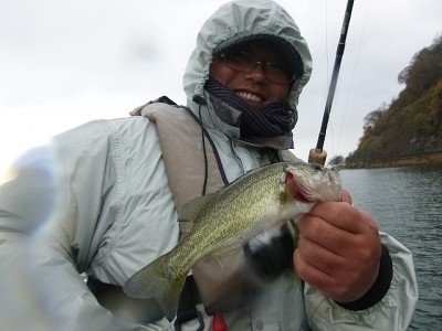 truth news ブログ写真 2014/12/09