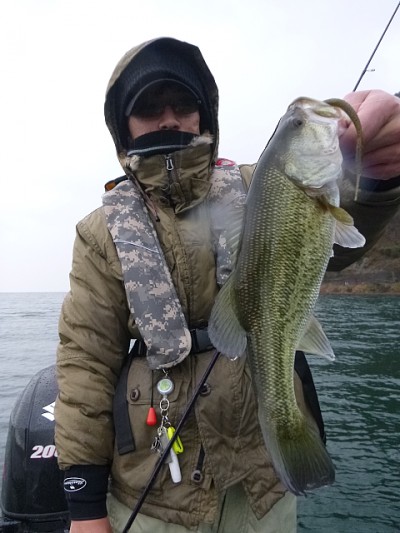 truth news ブログ写真 2014/12/09