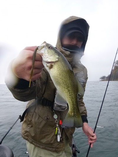 truth news ブログ写真 2014/12/09