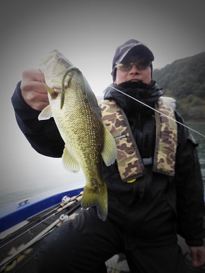 truth news ブログ写真 2014/12/13