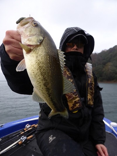 truth news ブログ写真 2014/12/13