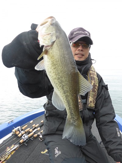 truth news ブログ写真 2014/12/13