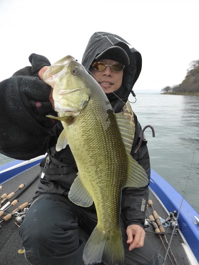 truth news ブログ写真 2014/12/13