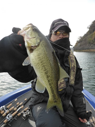 truth news ブログ写真 2014/12/13