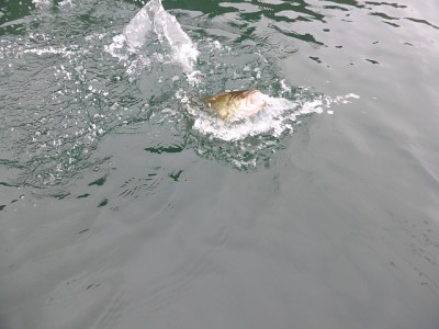 truth news ブログ写真 2014/12/13