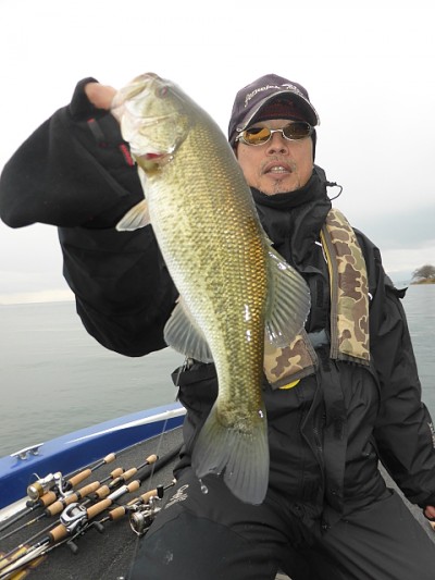 truth news ブログ写真 2014/12/13