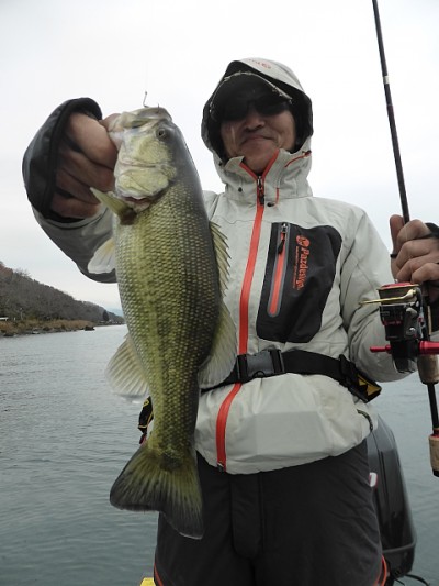 truth news ブログ写真 2014/12/13