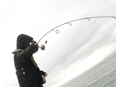 truth news ブログ写真 2014/12/13