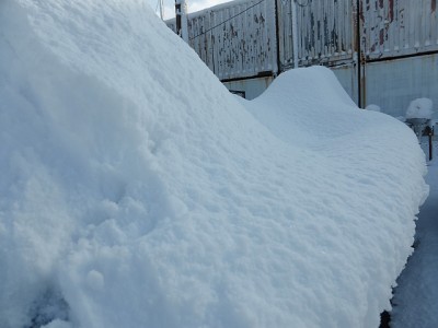 truth news ブログ写真 2015/01/03