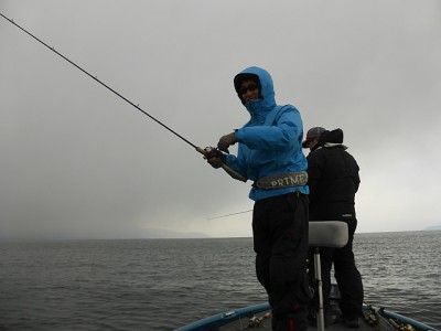 truth news ブログ写真 2015/01/08