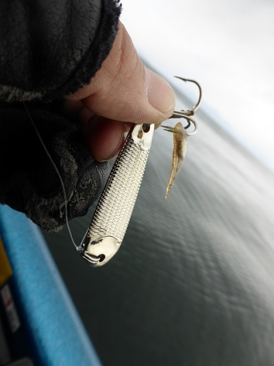 truth news ブログ写真 2015/01/08