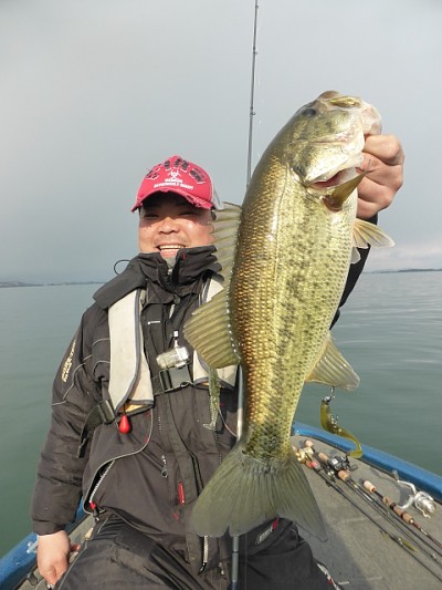 truth news ブログ写真 2015/01/08