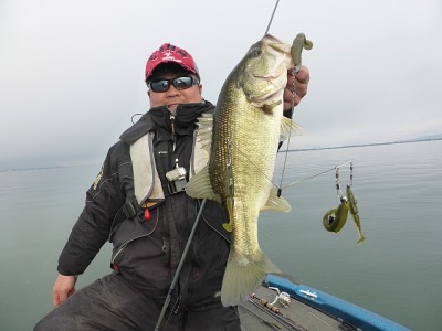 truth news ブログ写真 2015/01/08