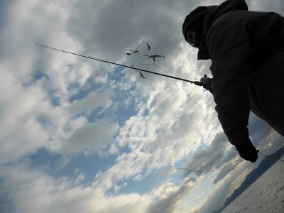 truth news ブログ写真 2015/01/11