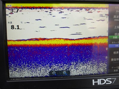 truth news ブログ写真 2015/01/11