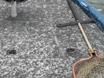 truth news ブログ写真 2015/01/12